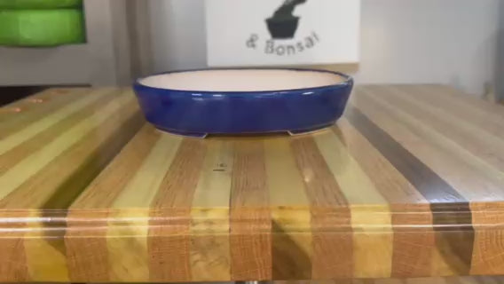 7" shallow oval bonsai pot