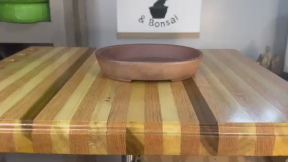 7" shallow unglazed wood fired oval bonsai pot