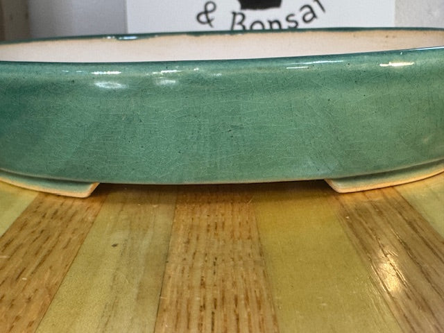 7" shallow oval bonsai pot